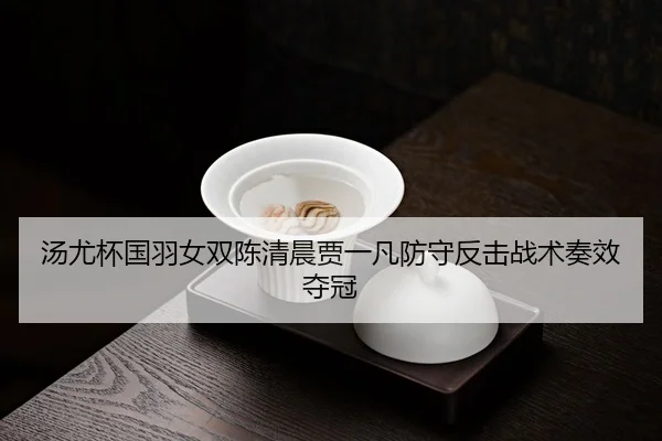 tang-you-bei-guo-yu-nv-shuang-chen-qing-chen-jia-yi-fan-fang-shou-fan-ji-zhan-shu-zou-xiao-duo-guan-3-700.jpg