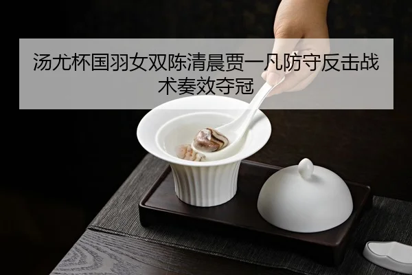 汤尤杯国羽女双陈清晨贾一凡防守反击战术奏效夺冠