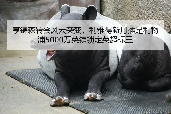 亨德森转会风云突变，利雅得新月插足利物浦5000万英镑锁定英超标王